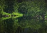 Uhøytidelig familievennlig fisketur m/overnatting