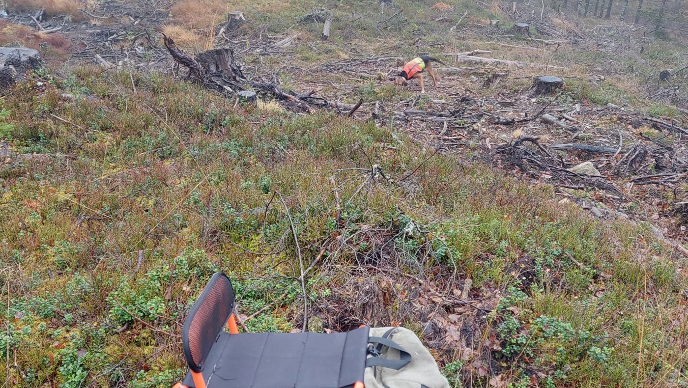 Introjakt Rådyr Lørdag 22.11.2025