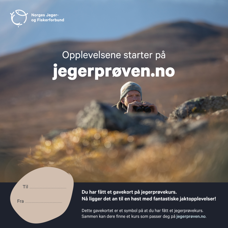 gavekortjegerprøven_kikkert.png