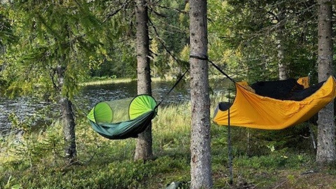 Friluftslivets uke, Natt i Naturen.