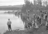 Fiskekonkurranse på Stordammen - 25-08-2024