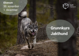 Grunnkurs jakthund - November - Elverum