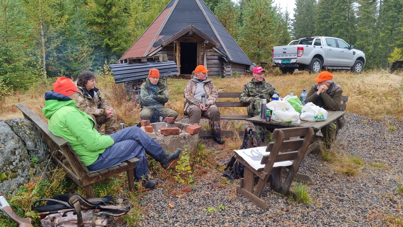 Introjakt på hare og skogsfugl