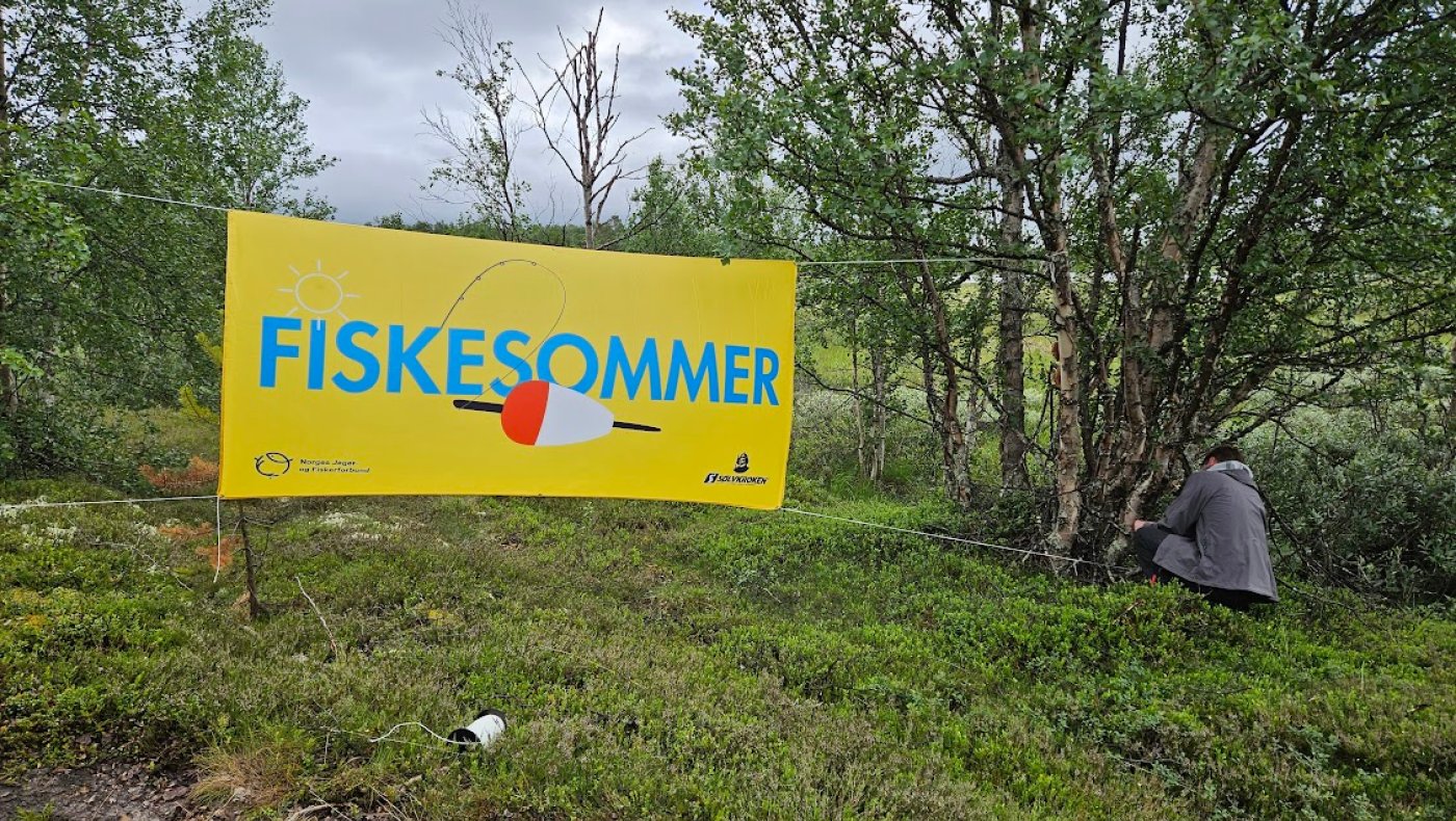 Fiskesommer