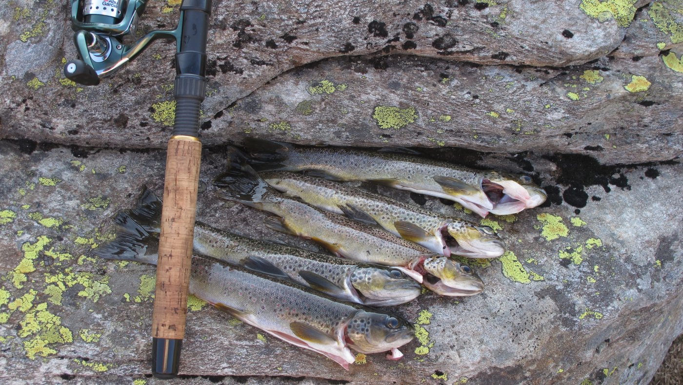 Fiskesommar