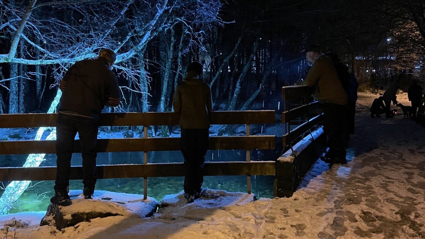 Familieaktivitet - Bli med å lyse etter Storørreten