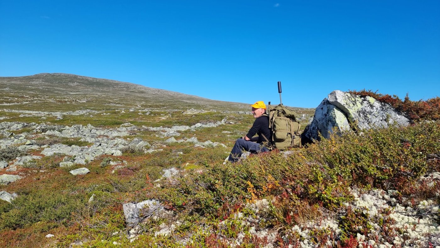 Introjakt Hjort 2025 Valldal