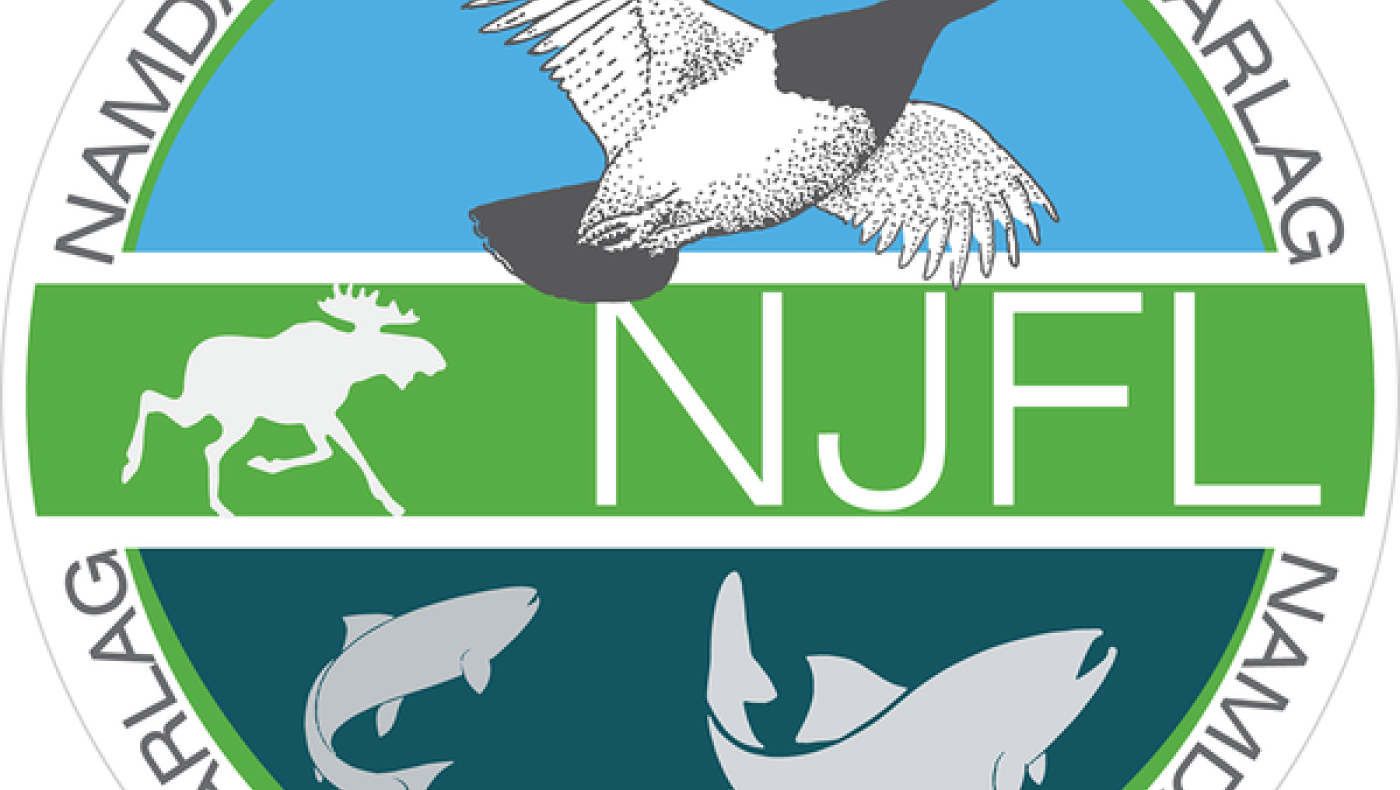 Introjakt, rådyrjakt med hund nr 2