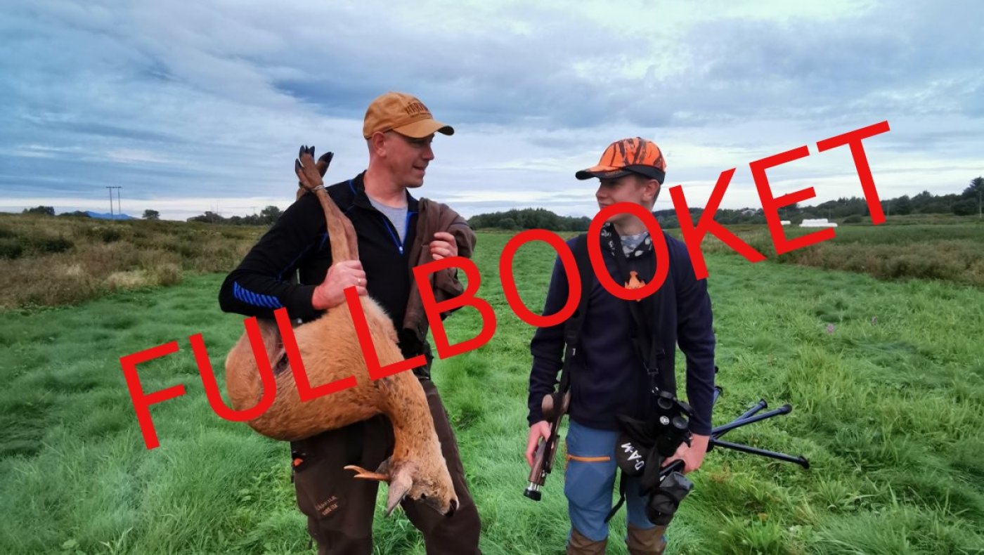 Introjakt på rådyr 2025