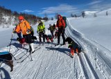 Vintertrening stående fuglehund høyfjell mars 2025