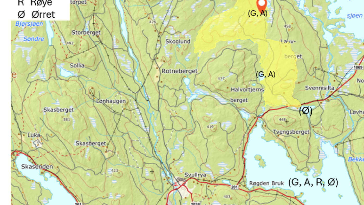 Fiskehelg i Grue Finnskog 13. - 15.06.25