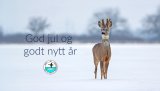 RJFF ønsker god jul