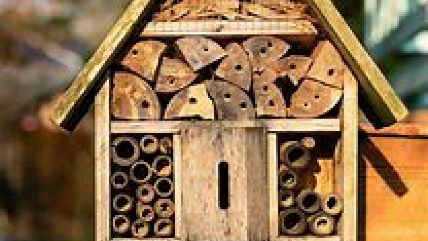 Vi lager insekt hotell