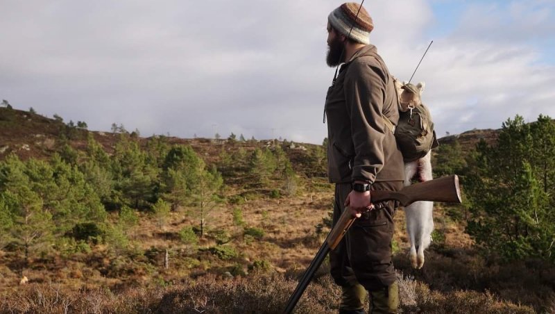 Harejakt Med Hund - NJFF Sogn Og Fjordane