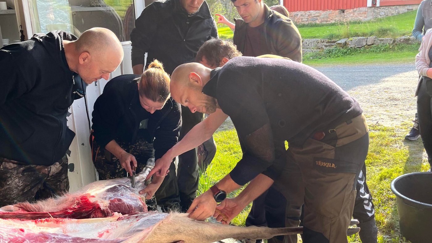 Kurs - Partering av hjortevilt