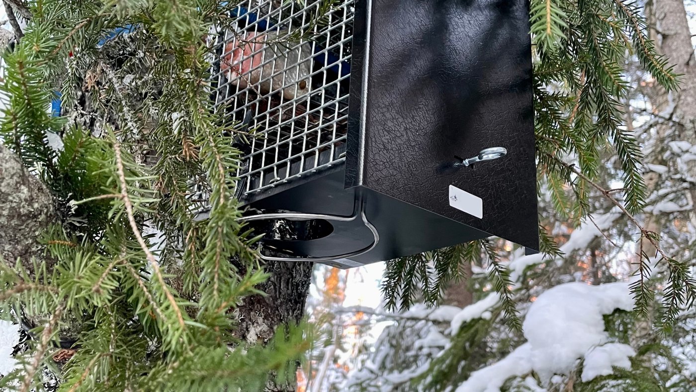 Fellefangst for ungdom - 22-11-2025