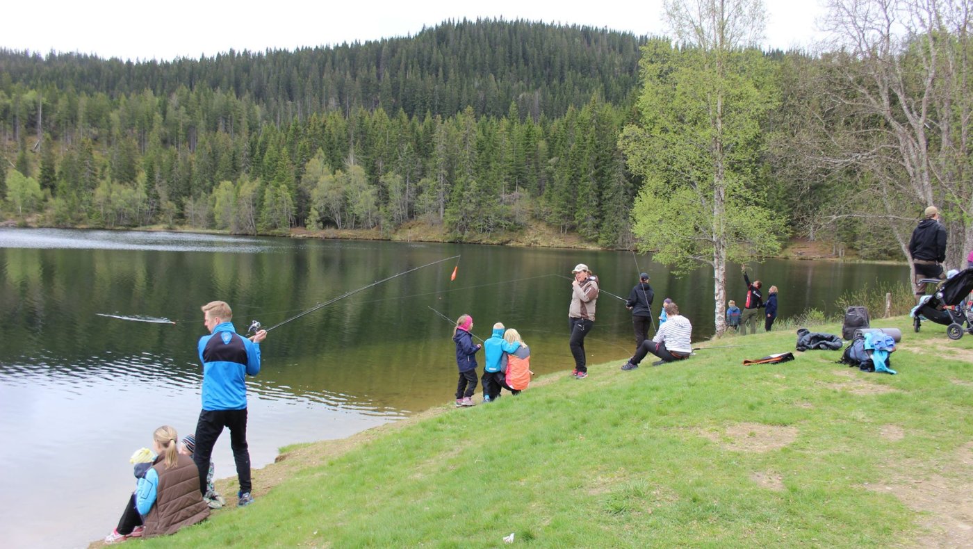 Innlandsfiskedag på Tømmerholtdammen