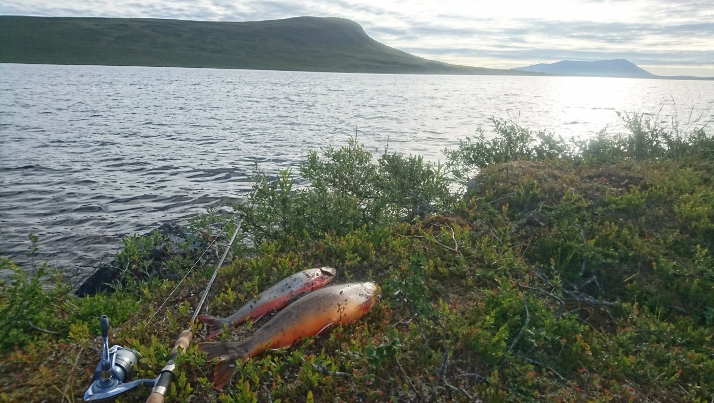 Fisketur i Indre Troms