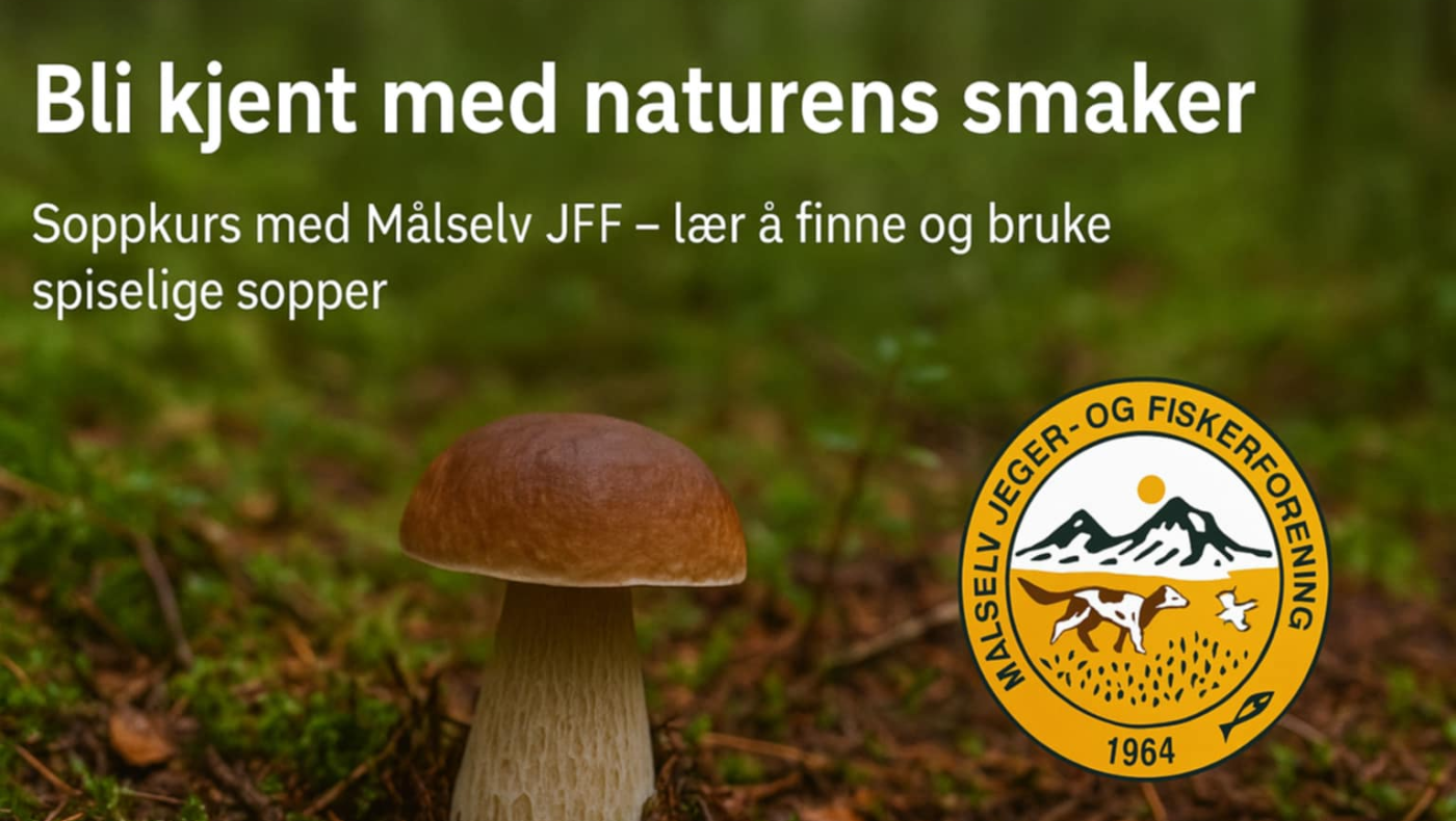 Soppkurs