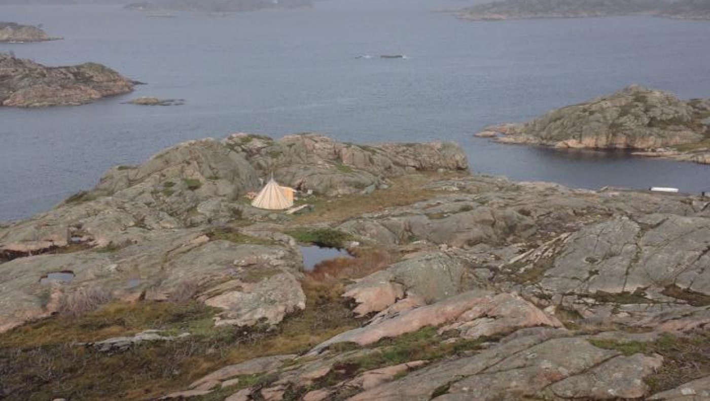 Introjakt Sjøfugl